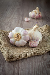 Image showing Garlic