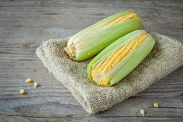 Image showing Fresh corn