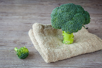 Image showing Broccoli