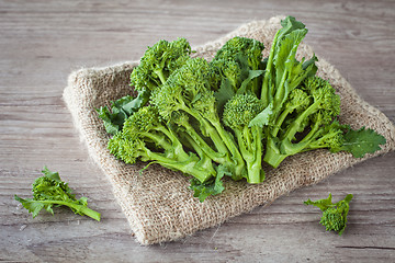 Image showing Turnip tops