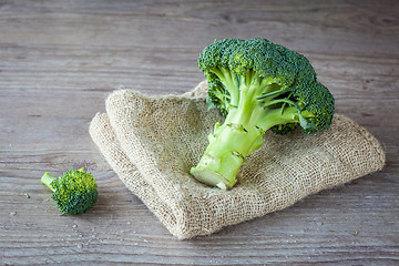 Image showing Broccoli