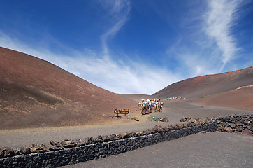 Image showing Camel Trek