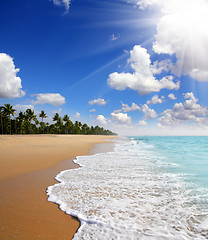 Image showing beach landscape