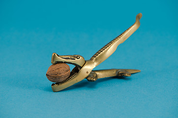 Image showing golden crocodile walnut greek nut crush tool blue 