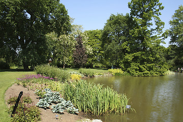 Image showing Summer garden and pond