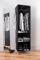 Image showing Clothes organizer with black and white clothing