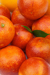 Image showing Blood Oranges Background