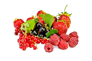 Image showing Berries red and black with leaf