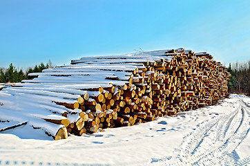 Image showing Timber in the snow on a sunny day