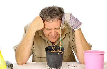 Image showing Disappointed Gardener