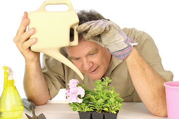 Image showing Dedicated Gardener