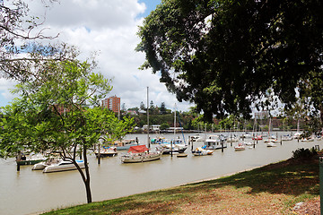 Image showing Brisbane Botanic Gardens