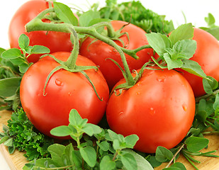 Image showing Tomatoes On A Bed Of Herbs