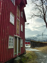 Image showing Svanvika Norge