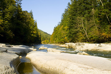 Image showing River in the forest