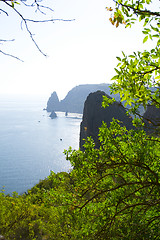 Image showing Rocks near the sea