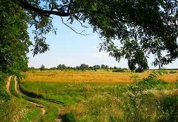 Image showing Green field with path near the forest