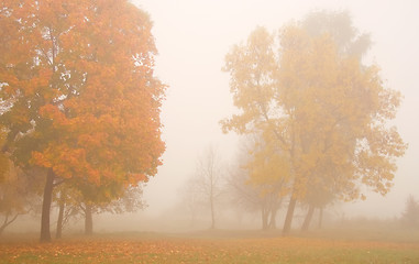 Image showing Misty autumn morning