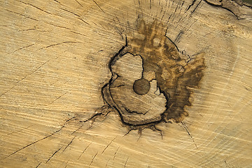 Image showing Old wood texture