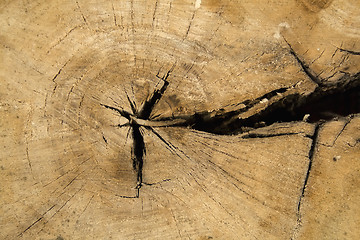 Image showing Old wood texture