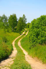 Image showing Green path