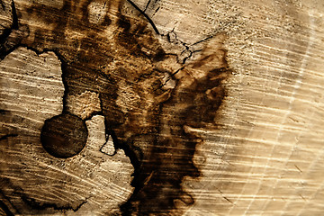 Image showing Old wood texture