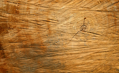 Image showing Wood texture