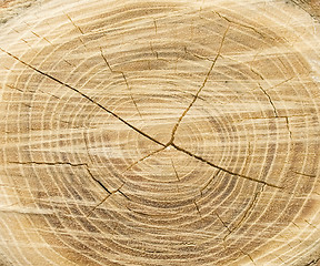 Image showing Wood texture