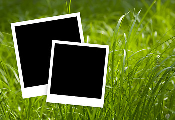 Image showing Empty frames with green grasss background