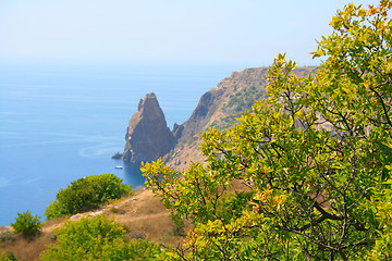 Image showing Rocks near the sea