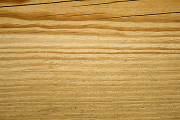 Image showing Macro view of the wood texture