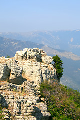 Image showing Top of the mountain with green forest above