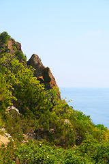 Image showing Rocks near the sea