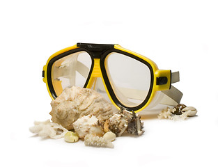 Image showing Yellow diving mask with sea shells