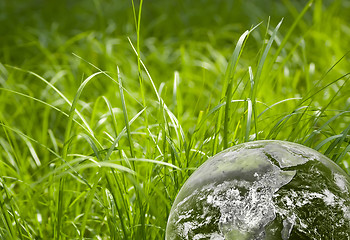 Image showing Green grass and earth image