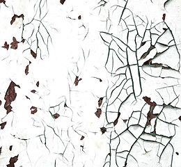 Image showing White abstract grunge texture