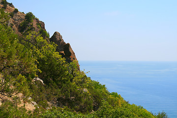 Image showing Rocks near the sea