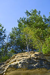Image showing Mountain wall covered with trees, moss and rocks