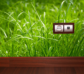 Image showing Electric outlet in grass.Ecology clean electricity concept.