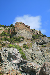 Image showing Mountain wall covered with trees, moss and rocks