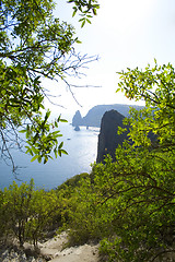 Image showing Rocks near the sea