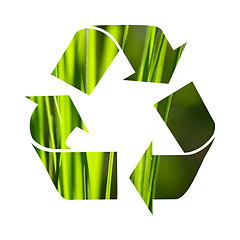 Image showing Recycle symbol made from grass isolated