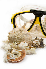 Image showing Yellow diving mask with sea shells