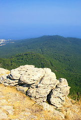 Image showing Top of the mountain with green forest above