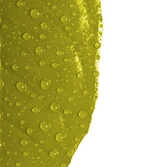 Image showing Yellow leaf with drops of water isolated