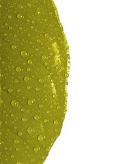 Image showing Yellow leaf with drops of water isolated