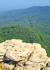 Image showing Top of the mountain with green forest above