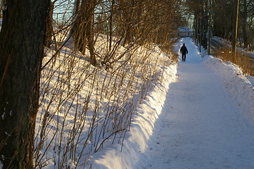 Image showing Walking man