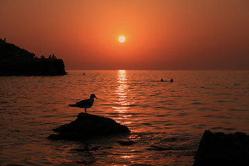 Image showing Sunset near the sea with bird on the rock