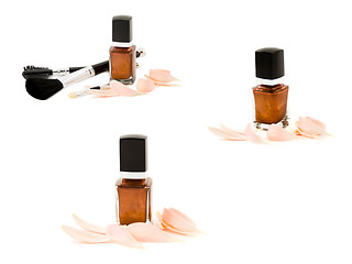 Image showing make up accessories with flower petal isolated. High resolution 